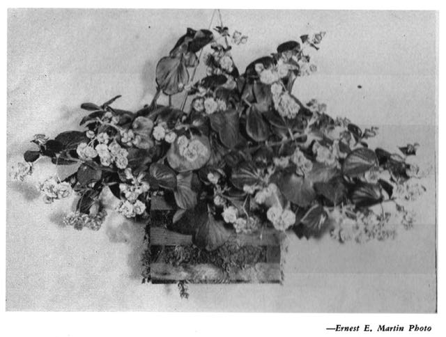 B. ‘Joan Strong’